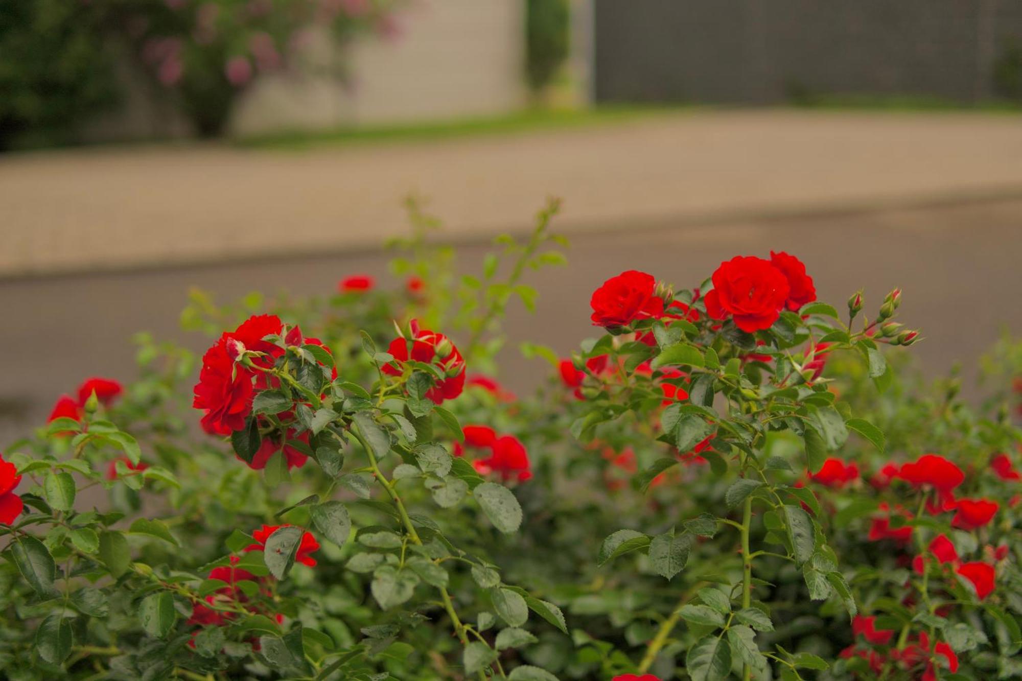 Bed & Breakfast Outlet Hotel Dettingen an der Erms Zewnętrze zdjęcie